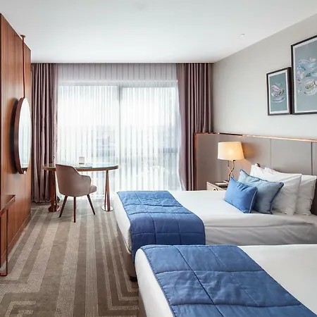 Hotel Lionel