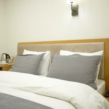 Kartal Palace Taksim Square Family 2* 伊斯坦布尔