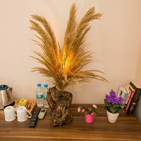 Corner Garden 2* Κωνσταντινούπολη