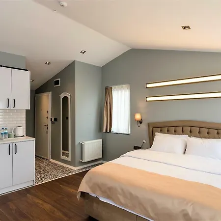Appartement Galataist Istambul