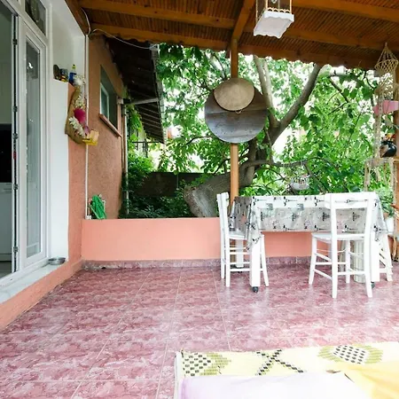 Garden Nature House In The Center Of Istanbul Holiday home
