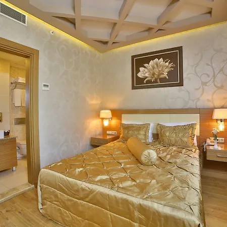 The Time Old 4* Provincia di Istanbul