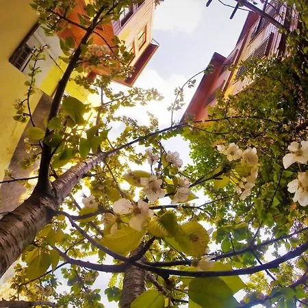Ottoman's Pearl Bed & Breakfast 3*