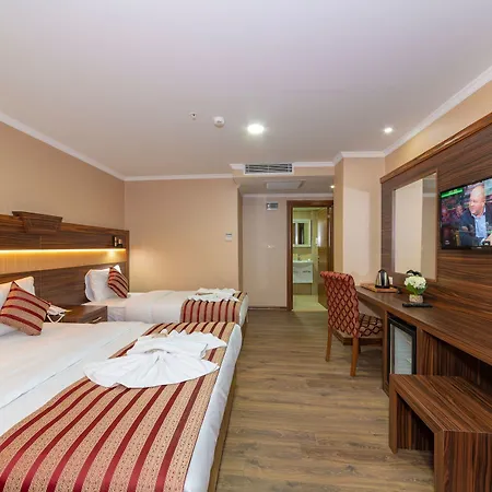 Vision Deluxe Hotel 3*