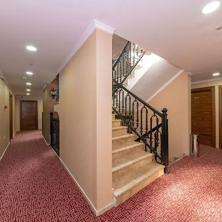 Vision Deluxe Hotel 3*