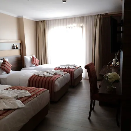 Hotel Vision Deluxe 3*