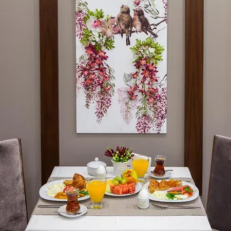Ferman Hilal Hotel-special Category Hotel Estambul