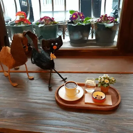 Zeytin Agaci Istanbul