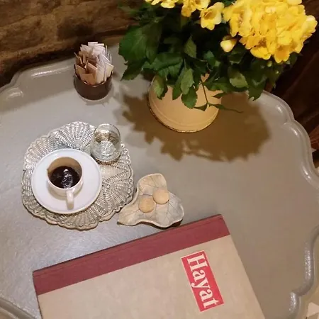 Bed & Breakfast Zeytin Agaci Istanbul