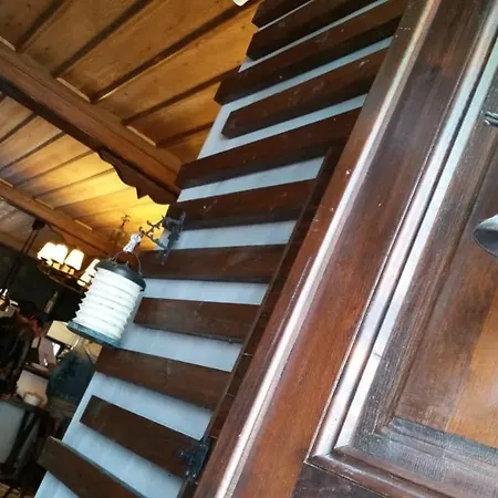 Zeytin Agaci 3* Istanbul