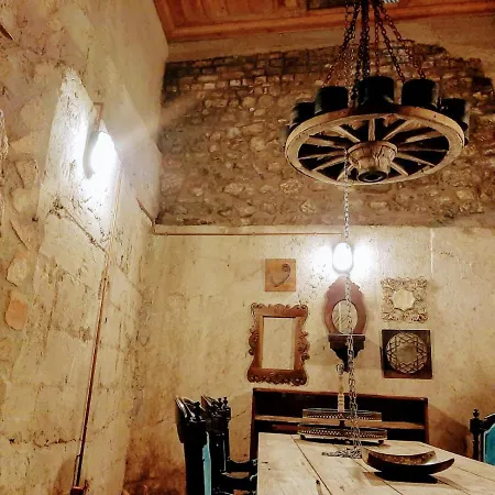 Zeytin Agaci Istanbul