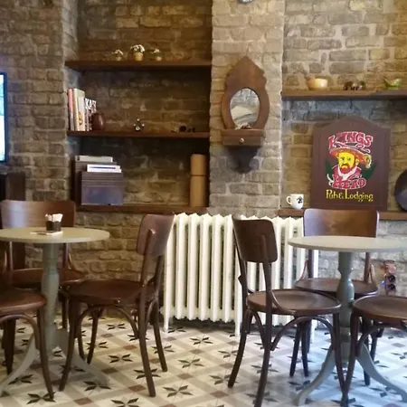Zeytin Agaci Istanbul