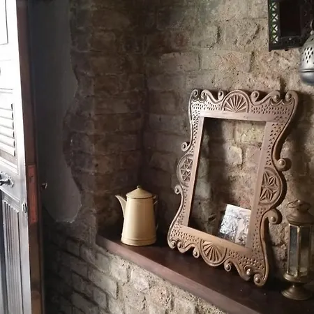 Zeytin Agaci Istanbul