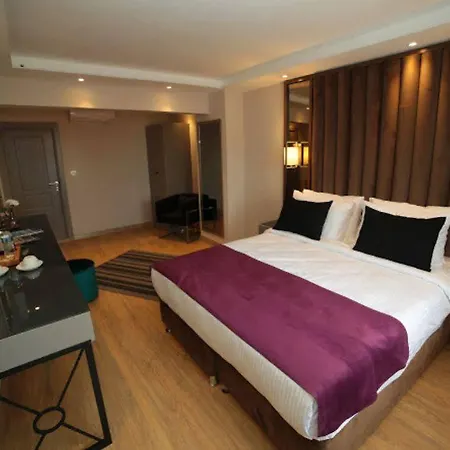 The Roomy Sisli 2* Istanboel