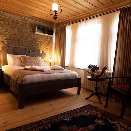 Zeytin Agaci Istanbul