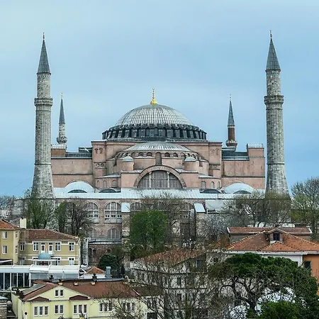 Отель Basilica