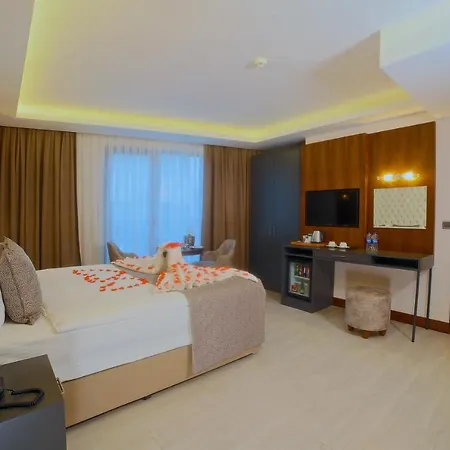 Hotel My Dream 4*