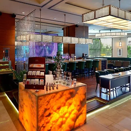 酒店 伊斯坦布尔亚洲万豪酒店 5*