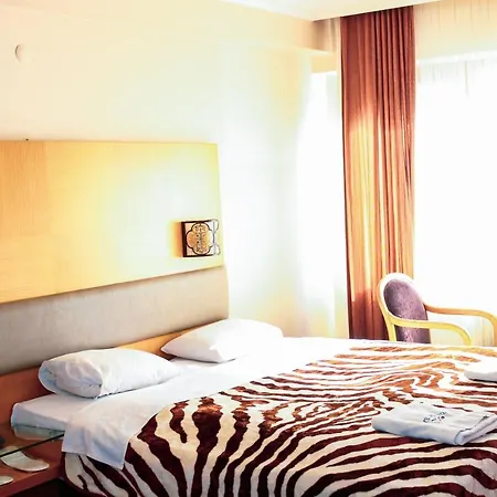 Pluton Hotel 2*