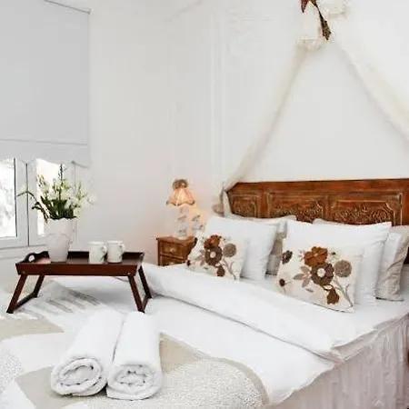 Aparthotel The White Swan Beyoglu *