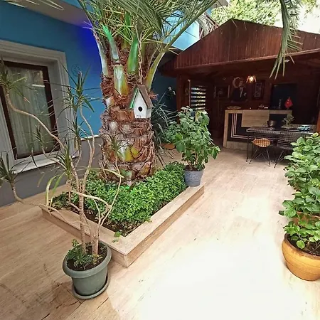 Mavilla Hotel 2*