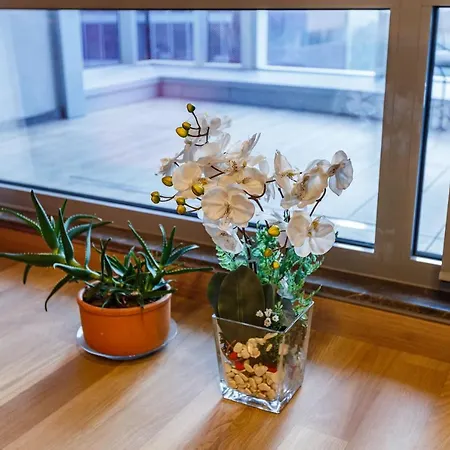 Modern Studio With Fascinating City View In Sariyer