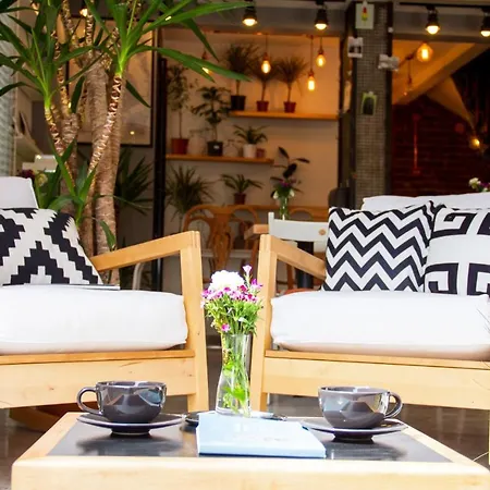 Bed & Breakfast Mola Galata