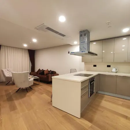 Apartment In In A Area Near Bakirkoy *