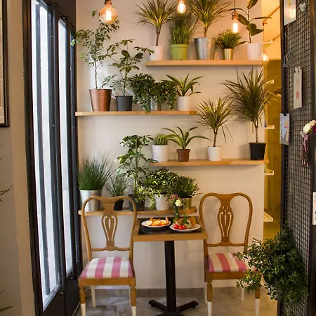 Bed & Breakfast Mola Galata Istanbul