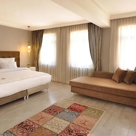 Hotel Nea Old 3*