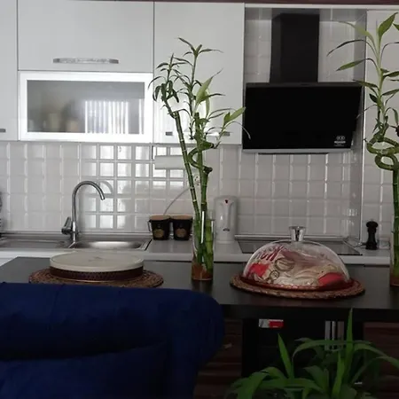 Aris Grand Tower Apartment