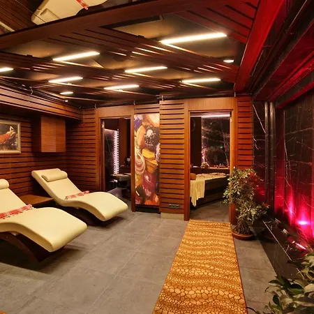 Hotell Skalion Hotel&spa 4*