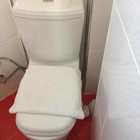 酒店 奥兹别墅酒店 伊斯坦布尔