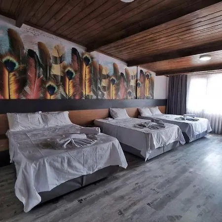 Hotel Victorious