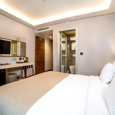 Erboy 4* Provincia di Istanbul