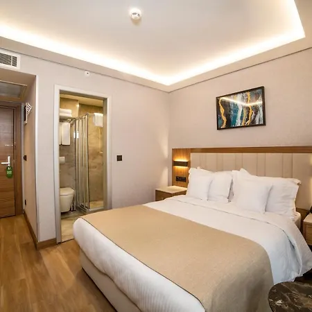 Hotel Erboy 4*