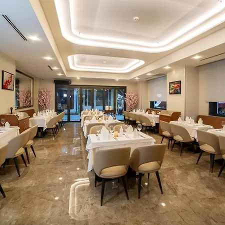 Hotel Erboy 4*
