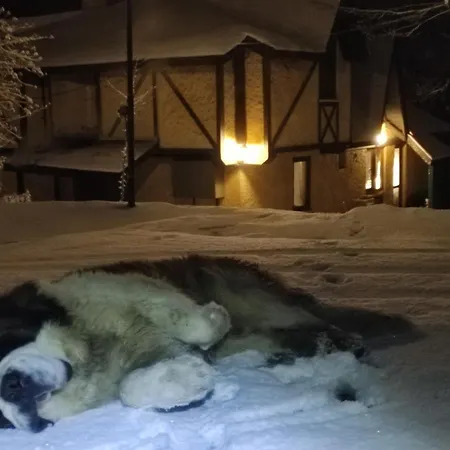 Polonezkoey Country Club & In The Wildlife Park! 3* Istanbulská provincie