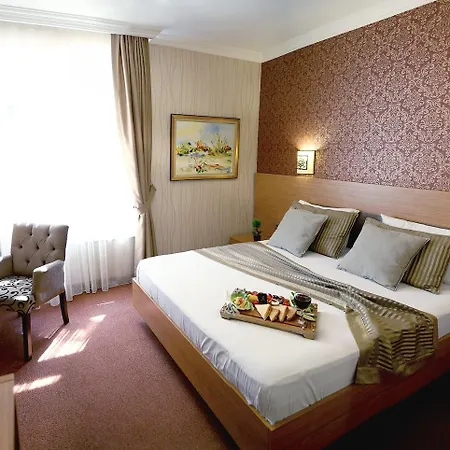 Hotel The Rise Aron Business Merter 3*