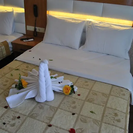 Отель Star Park 3*
