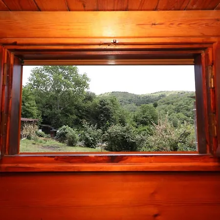 Cozy Mountain House Surrounded By Nature In Beykoz Istanbul