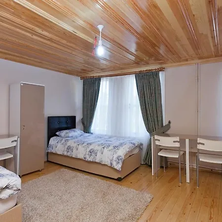 Petunya Wood House *
