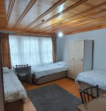 Petunya Wood House * Istambul