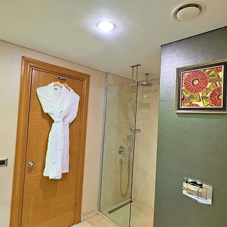 酒店 伊斯坦布尔戈南酒店 伊斯坦布尔
