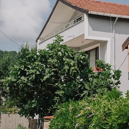 Otel Ağva Marina House *