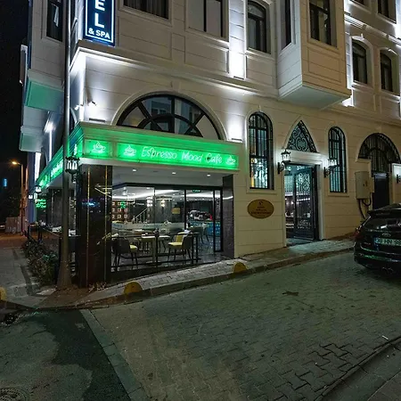 科斯特拉酒店 4*