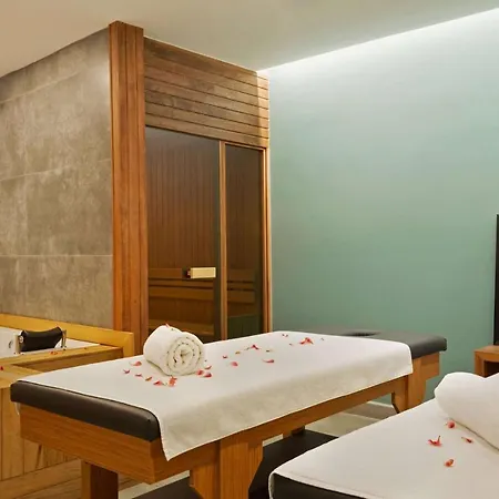 ホテル Tryp By Wyndham Atasehir 3*