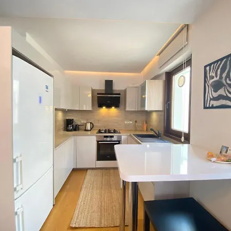 Charming Flat With Central Location In Nisantasi اسطنبول
