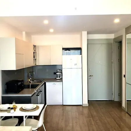 Secured Lux 1 + 1 - Gym, Sauna & Parking * Istanbul