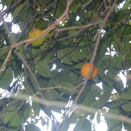 Garden Aparts Taksim Appartamento